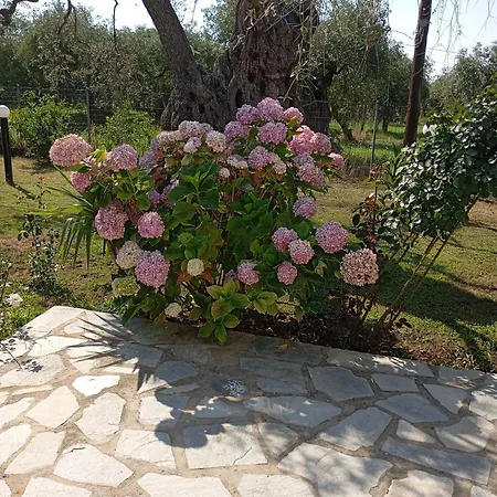 Cristi Apartment Skala Rachoni (Thasos)