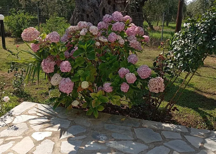 Cristi Apartment Skala Rachoni (Thasos)