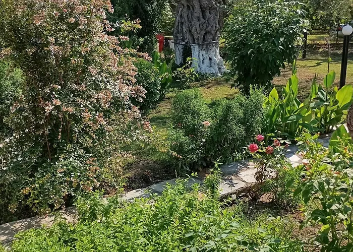 Cristi * Skala Rachoni (Thasos)